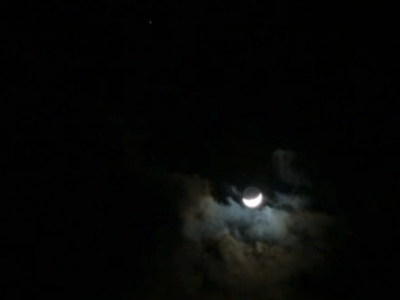 5 July, 2019 – Moana-Nui-a-Kiwa: our ocean still in need of&nbsp;warriors